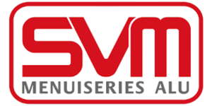 tsvm
